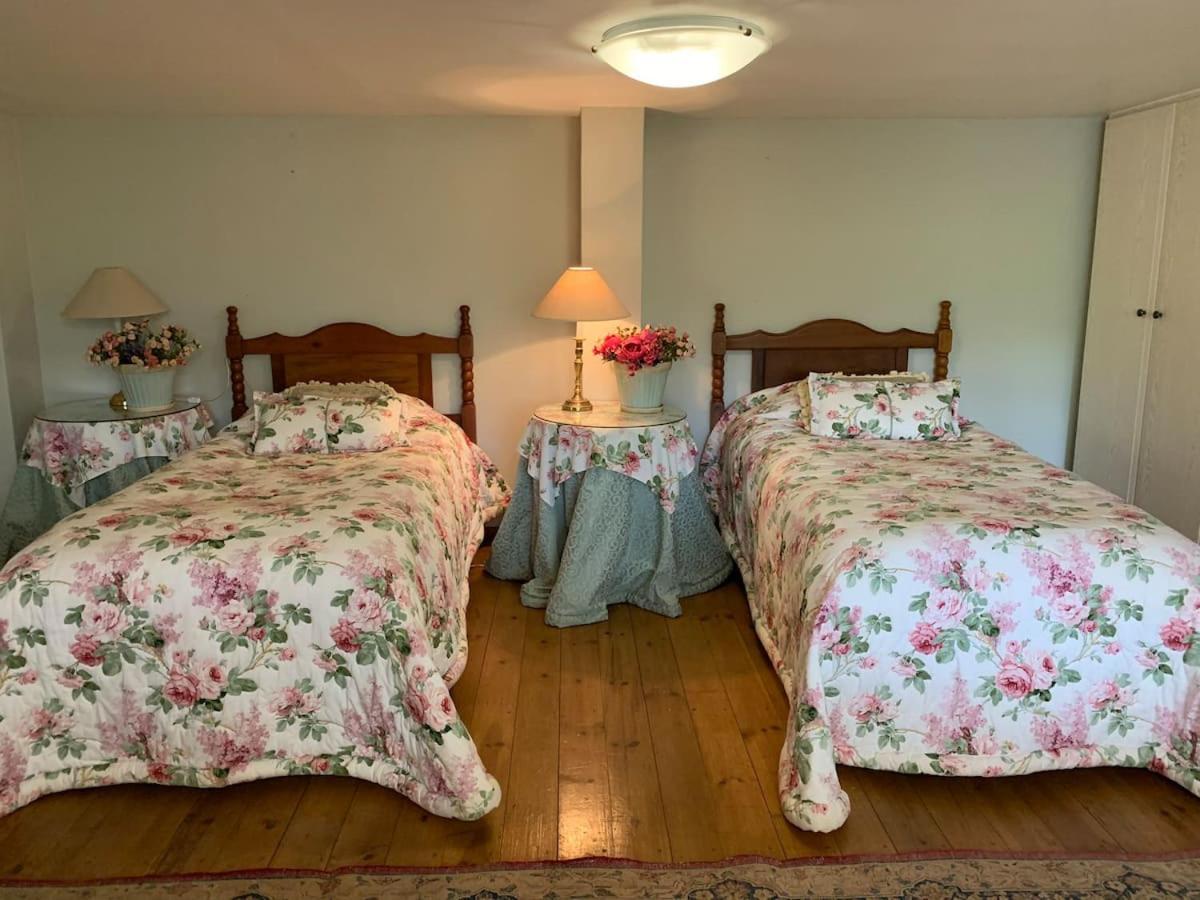 Mountain Rose Guesthouse Louis Trichardt Kültér fotó