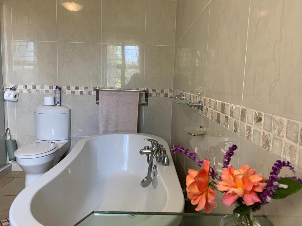 Mountain Rose Guesthouse Louis Trichardt Kültér fotó